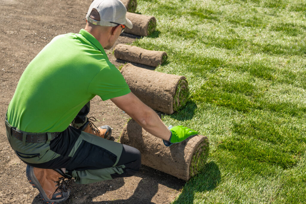 when is the best time to install sod