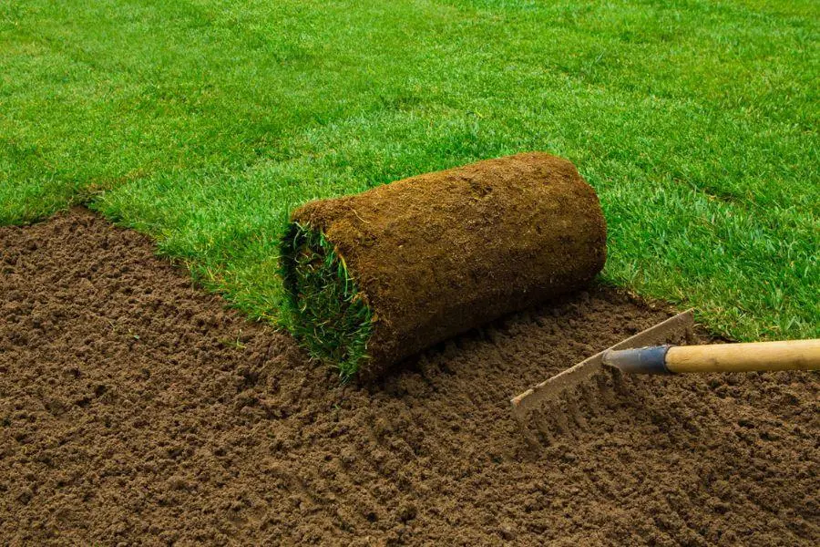 when is the best time to install sod