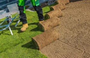 Sod Installation Services