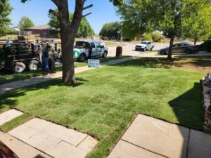 The Best Time to Install Sod in the U.S |Spring vs. Fall Explained