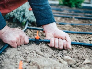installing irrigation system for lawn